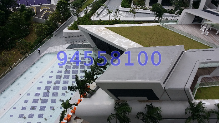 D'Leedon (D10), Condominium #38557162
